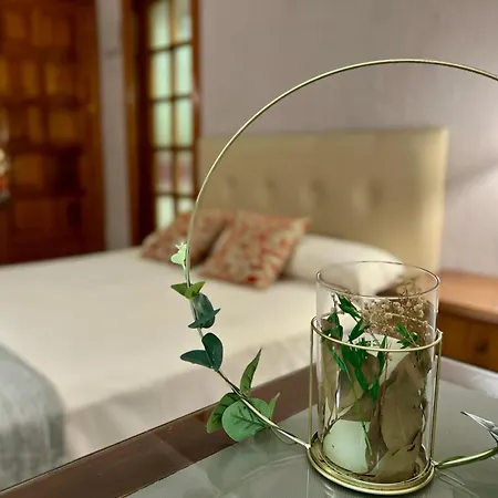 Hotel Atlantico Centro 2*